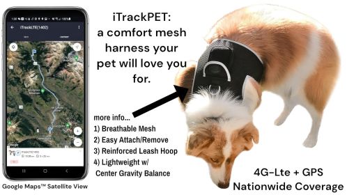 NEW Waterproof Animal Tracker GPS GSM Mini Anti-Loss Locator for Dogs Size:S