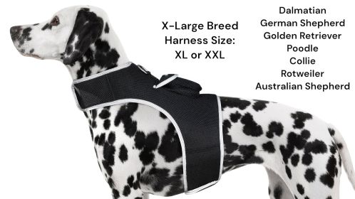 Mini Waterproof GPS Tracker for Dog Collar w/ Perimeter Fencing System Size:XS