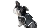 Mini Waterproof GPS Tracker for Dog Collar w/ Perimeter Fencing System Size:M