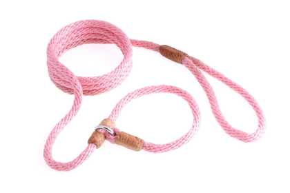 Nylon Slip Leash With 2 Stoppers (6ft  x 5/16in or 8mm) (size: 6ft  x 5/16in or 8mm)