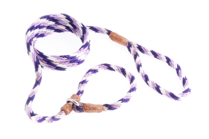 Nylon Slip Leash With 2 Stoppers (6ft  x 5/16in or 8mm) (size: 6ft  x 5/16in or 8mm)