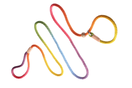 Nylon Slip Leash With 2 Stoppers (6ft  x 5/16in or 8mm) (size: 6ft  x 5/16in or 8mm)