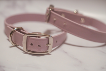 Biothane Buckle Dog Collar (Color: pink, size: Medium/Large 14-16 inches)