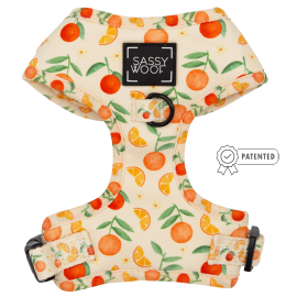 Adjustable Harness (Color: Simply the Zest, size: XXsmall)