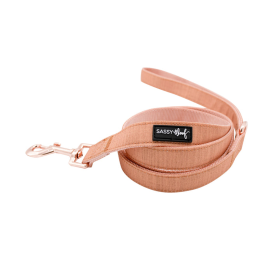 Leash (Color: Orange, size: One size)
