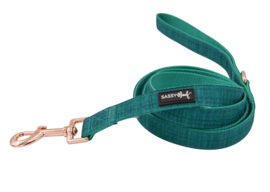 Leash (Color: Green, size: One size)
