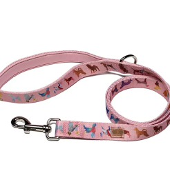 Dog Leash (Color: pink, size: small)