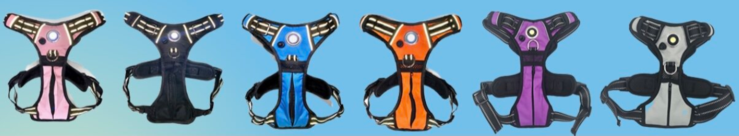 Headlight Harness, Dog Harness with Built In LED Light (Color: Grey, size: small)
