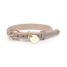 London Dog Collar (size: large)
