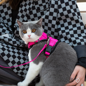 Mr. Peanut's PurrTrek Reflective Cat Harness with Matching Leash (Color: pink, size: small)
