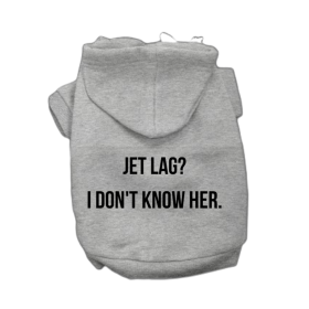 The Jet Lag Diva Hoodie (Color: Gray, size: large)