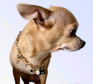 My Dainty Charm Necklace (size: medium)