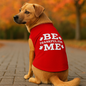 Be Thankful for Me Classic Tee (size: M)