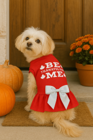 Be Thankful for Me Harvest Ruffle Dress (size: M)