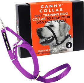 Canny Collar No-Pull Dog Head Collar Gentle & Humane Leash Training Aid (Color: Purple, size: Size 4 - Neck size 15"-17")