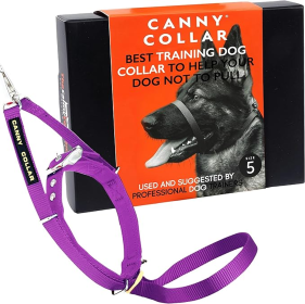 Canny Collar No-Pull Dog Head Collar Gentle & Humane Leash Training Aid (Color: Purple, size: Size 5 - Neck size 17"-19")