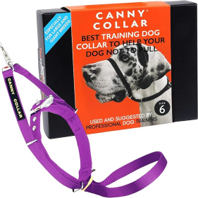 Canny Collar No-Pull Dog Head Collar Gentle & Humane Leash Training Aid (Color: Purple, size: Size 6 - Neck size 19"-21")