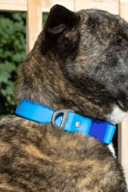 Dockside Adventures Waterproof Dog Collar (size: 15 - 17 inch)